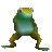 :frogdance: