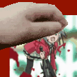 IMG_4004.gif
