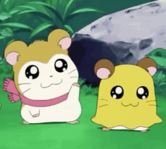 1756877582879.gif