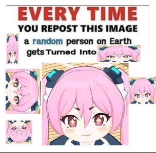 1756998975538696m.jpg