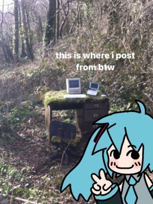 tumblr_19c338c77f411fb444e406d343a046ae_ba8045d0_540.jpg