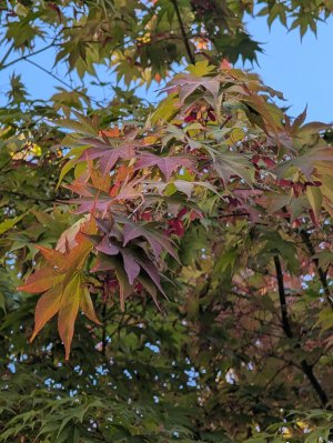 PXL_20250915_215840095.jpg