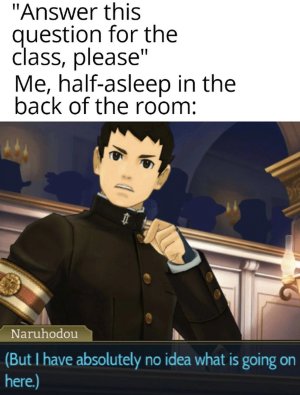 Ace-Attorney-Memev1cropped.jpg.jpg
