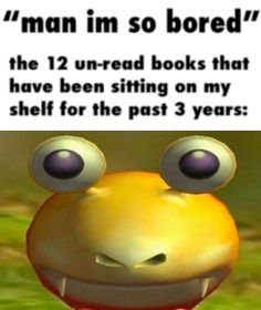 Bulborb book meme.jpg