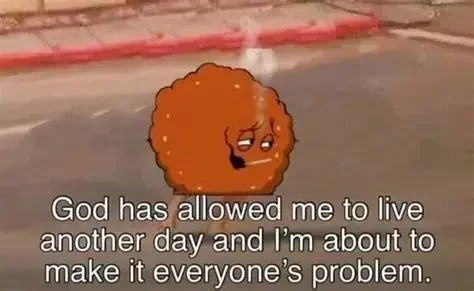 Meatwad meme.webp