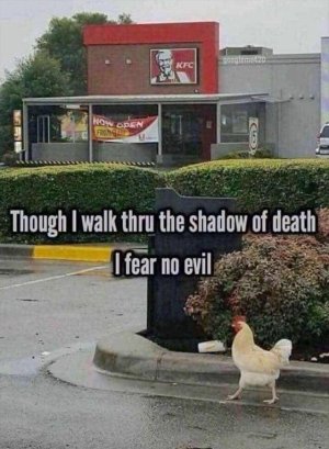 why-did-the-chicken-go-to-kfc-v0-u4kzrxhut14d1.jpeg