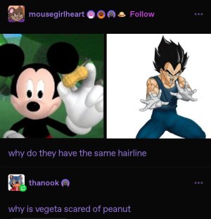 snfoor2o4c2f1.jpeg