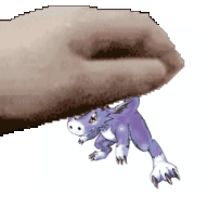 18265.gif