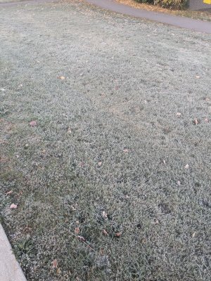 PXL_20251010_114529576.jpg