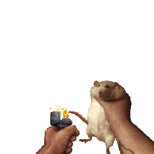 1760108092141722.gif