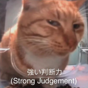1761066315018871.png