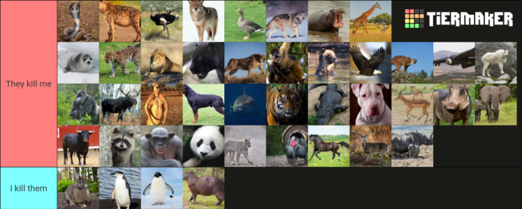 my-image (5).png my-image (5).png