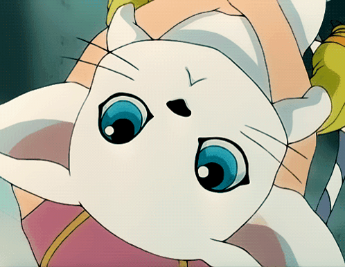 gatomon-tailmon.gif